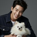 예쁘개 반려견미용샵 | 강아지 미용샵 추천 [견종별 스타일별 강아지 미용 스타일 추천 및 비교]