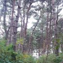 테마하우스민박 이미지