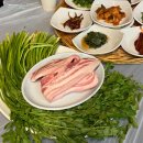 수월산방 | 양산 원동 미나리삼겹살 축제 수월산방 다녀온 후기