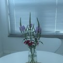 머물다삼포 이미지