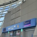 752 | 아시아나항공/인천-싱가포르 왕복/OZ751, OZ752 이코노미 탑승 후기/과일식 기내식