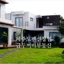 금두꺼비 민박 | [제주도펜션] 창업으로 년1억 수익 만들기!