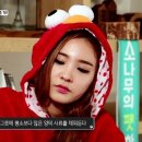 소나무하우스 이미지