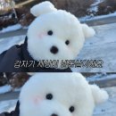 전설의 치킨 가오리점 | 11월 총결산