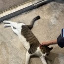 겨울이와여름이 이미지