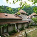 꿈꾸는 숲 이미지