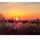 하늘공원 이미지