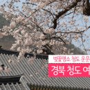운문로컬푸드