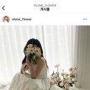 올렌느플라워 이미지