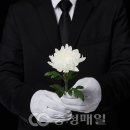 온리법률사무소 이미지