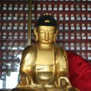 진주 연화사 목조 아미타여래좌상 이미지