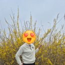군산컨트리클럽레스토랑 | #군산컨트리클럽 다녀온 후기 전북골프장 셀프골프가능골프장,노캐디골프장,2인골프가능골프장