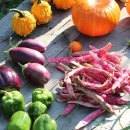 재순농장 이미지