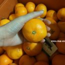 승언농장 이미지