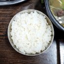 [동대문역사문화공원 맛집] 대화정 진짜해장국 | 솔직 후기