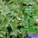 비엔나유치원 이미지