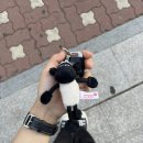 피크베리머치 이미지