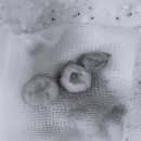 신영치과의원 이미지