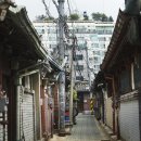 오후의 여유타임 홍차 타임아웃 코리아