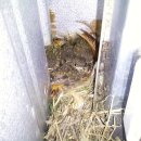 오미자희망마을 이미지