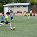 고금초 학교스포츠클럽 풋살대회 ‘우승’[미래교육신문] 이미지