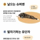 메르헨카페 이미지