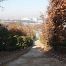 일산목장 이미지