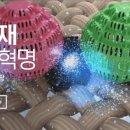 브로우올리 이미지