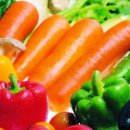 퍼피가든 이미지