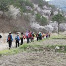금산-64 이미지