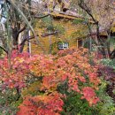 실개천펜션 이미지