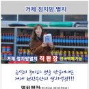 매미건어물