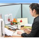 행정사 송운학사무소 이미지