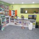 Lucky 애견샵 이미지