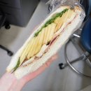 밀당중