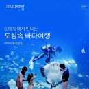 아쿠아플라넷63 | 서울 이색 전시 추천 : 동심으로 돌아갈 수 있는 아쿠아플라넷63 후기