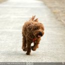 대산문화체육공원(야구장) 이미지