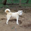 울산농장 Daum카페