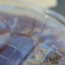 뚜레쥬르 제물포역점 이미지