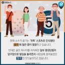 나이스골프 이미지