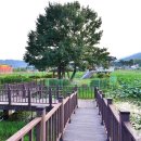 연꽃방죽체육공원 이미지