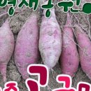 영재농원 이미지
