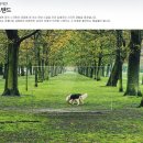 두계전자