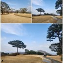 지산 | 지산CC 라운드 후기~🌴🌴🌴