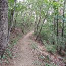 산비탈다방 이미지