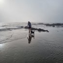 안면도덤앤더머 이미지