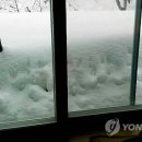 언별1리 이미지