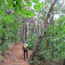 역사힐링길 이미지