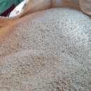 제네시스 PC 이미지