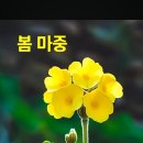 3월 13일 출석부 올립니다 이미지